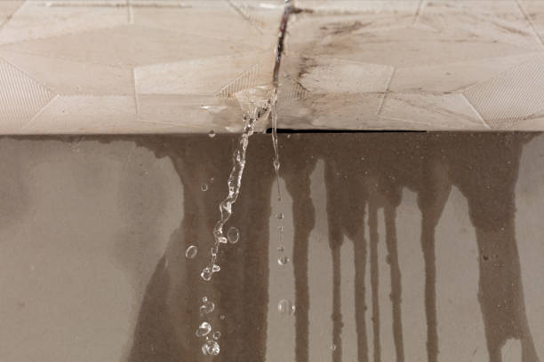 Professional Burst Pipe Cleanup technician working in Lowman, ID